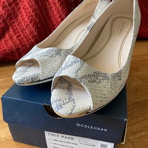 Grand Ambition Open Toe Wedge